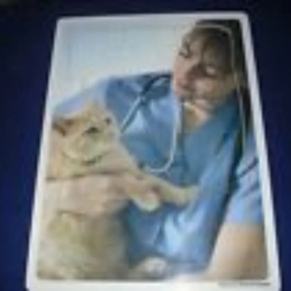 Wooden Multicultural puzzles: Veterinarian , Library, Grand-Parents, Family x 6